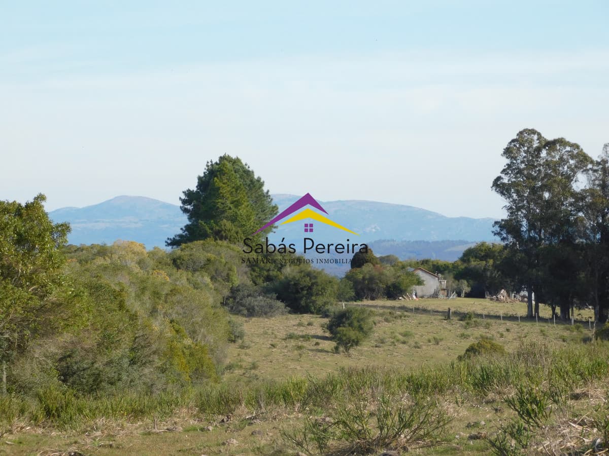 Chacra ID.41459 - Venta chacra con casa sobre ruta 60 de 20há, Lavalleja.