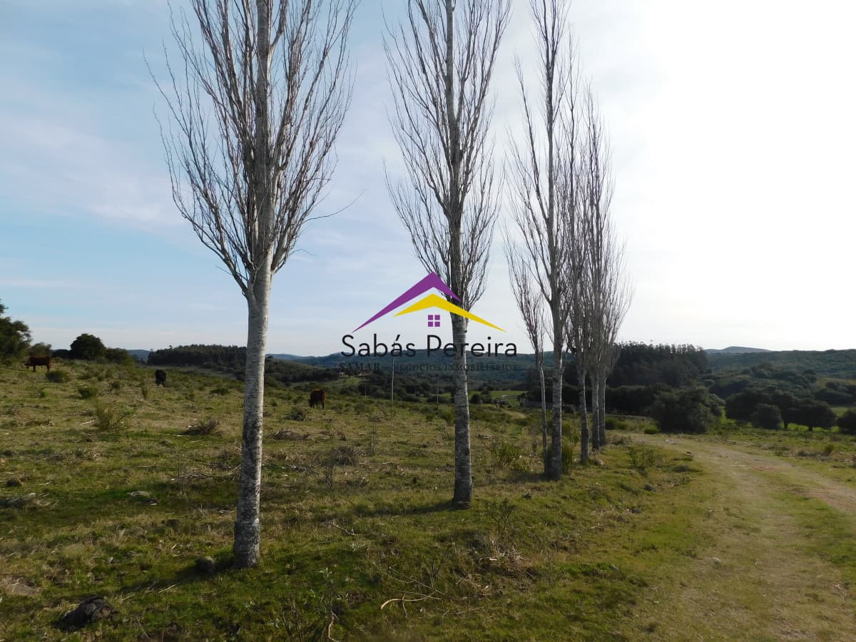 Chacra ID.41459 - Venta chacra con casa sobre ruta 60 de 20há, Lavalleja.