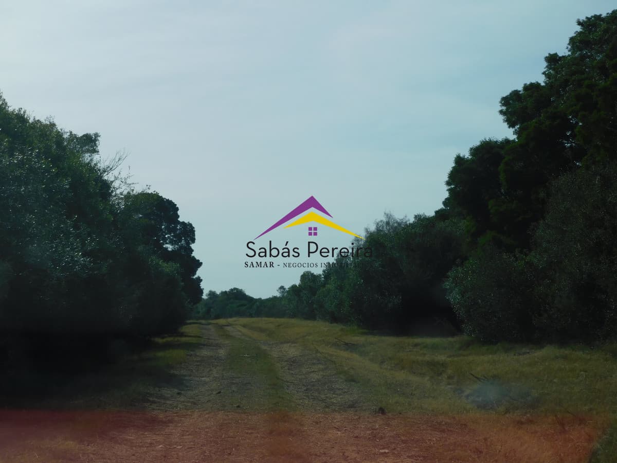 Chacra ID.41458 - Venta chacra 40há, Pan de Azucar, Maldonado