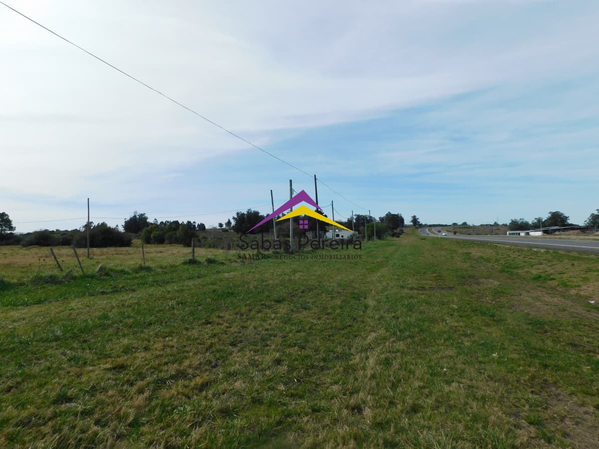 Chacra ID.41456 - Venta chacra sobre ruta 9 de 2há, Pan de Azucar, Maldonado