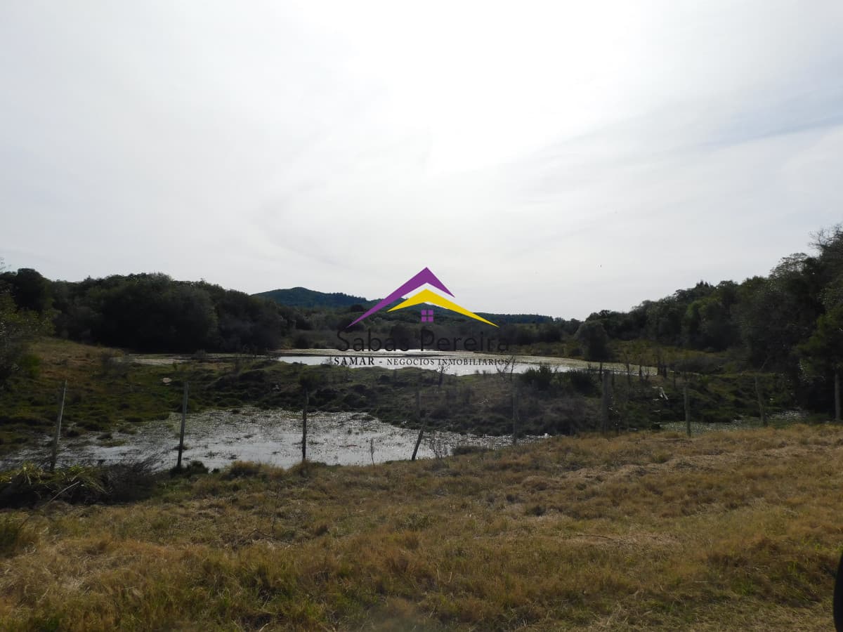 Chacra ID.41458 - Venta chacra 40há, Pan de Azucar, Maldonado