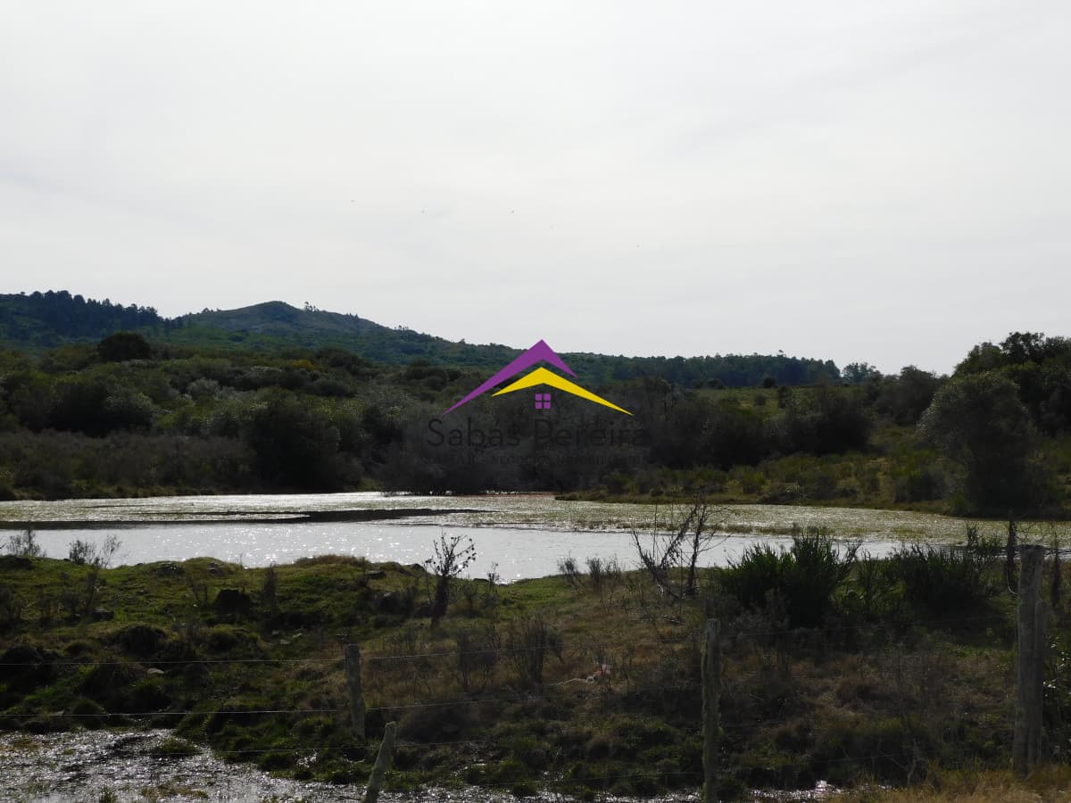 Chacra ID.41458 - Venta chacra 40há, Pan de Azucar, Maldonado