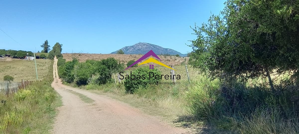 Chacra ID.41230 - Venta Chacra 18ha con casa sobre ruta 9, Pan de Azúcar, Maldonado