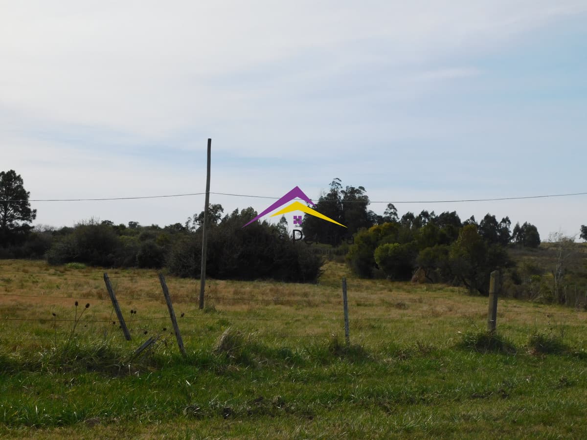 Chacra ID.41456 - Venta chacra sobre ruta 9 de 2há, Pan de Azucar, Maldonado