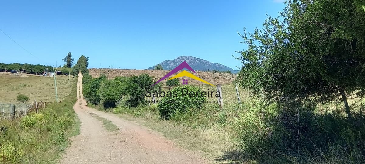 Chacra ID.41230 - Venta Chacra 18ha con casa sobre ruta 9, Pan de Azúcar, Maldonado