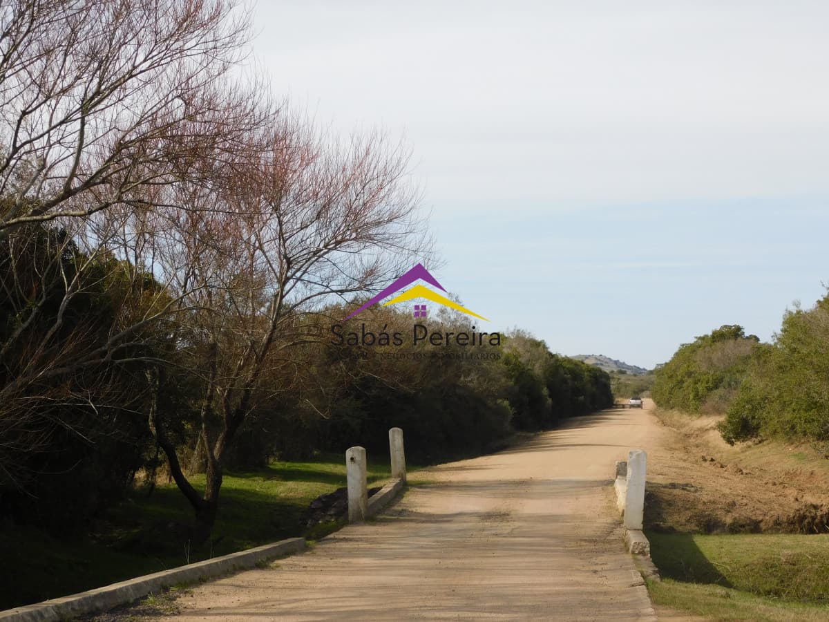 Chacra ID.41458 - Venta chacra 40há, Pan de Azucar, Maldonado