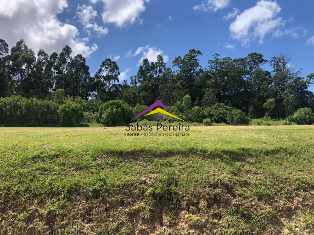 Terreno ID.41435 - Terreno en Complejo Verdemora