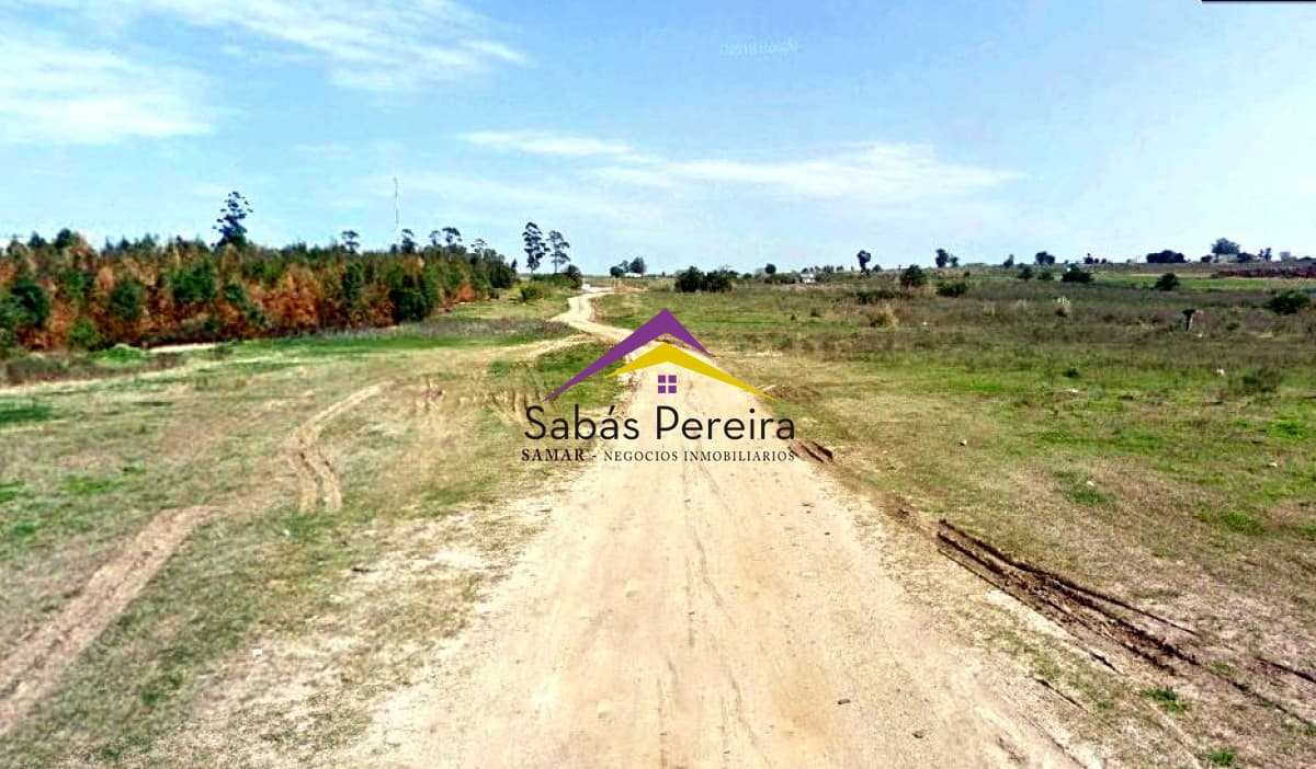 Terreno ID.41040 - SE VENDEN TERRENOS EN ZONA LOGISTIA DE MONTEVIDEO