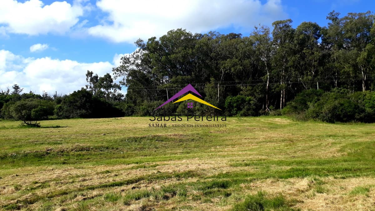 Terreno ID.40884 - Venta terreno 1722m2, Las Flores, Piriápolis, Maldonado