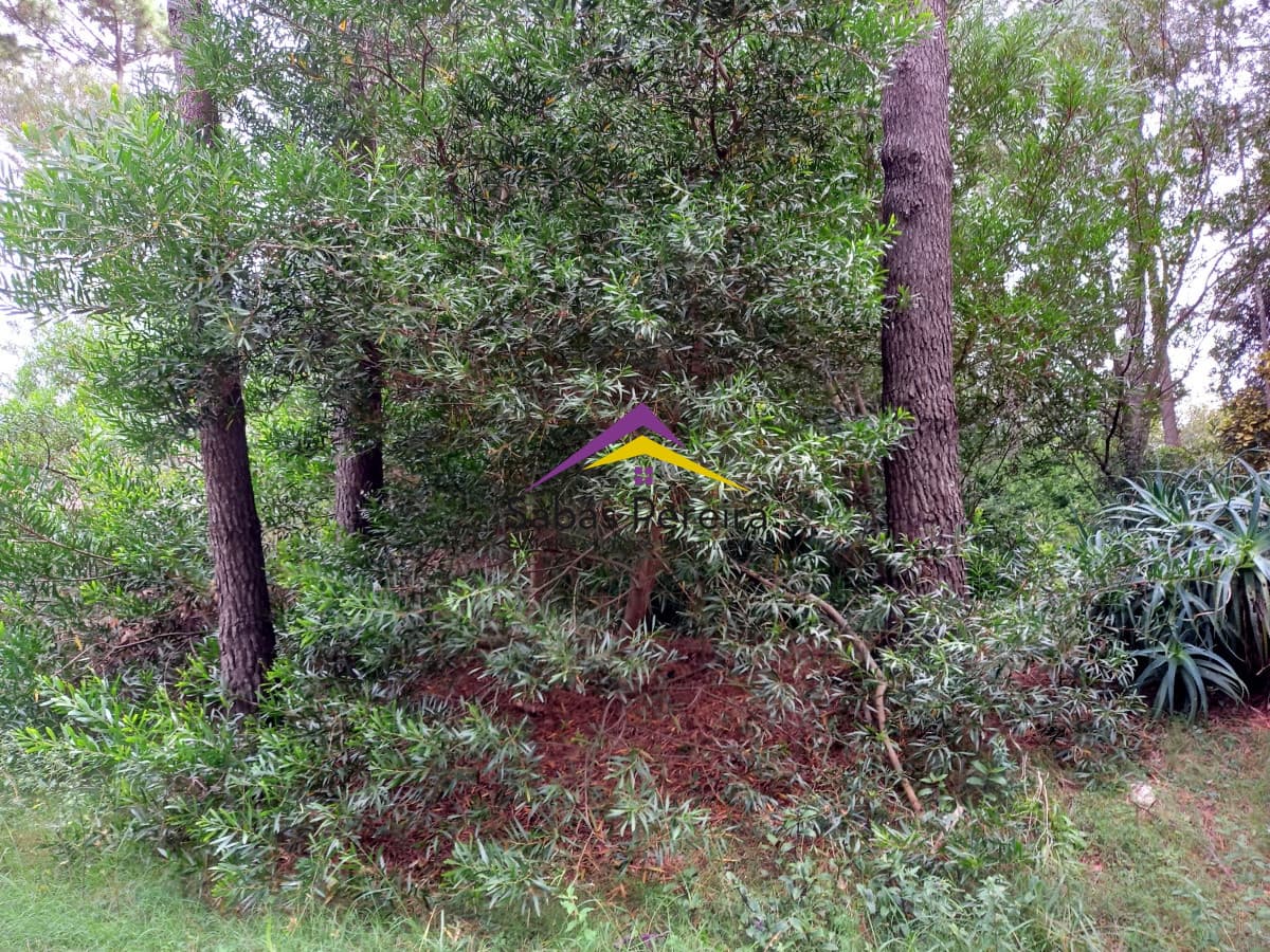Terreno ID.40955 - Venta Terreno 752m2, Country, Piriápolis, Maldonado