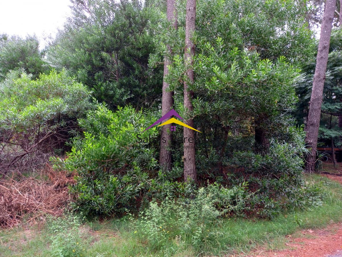 Terreno ID.40955 - Venta Terreno 752m2, Country, Piriápolis, Maldonado