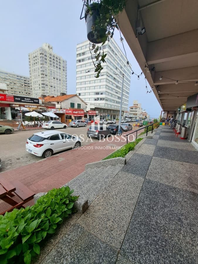 ALQUILER ANUAL LOCAL COMERCIAL PENINSULA