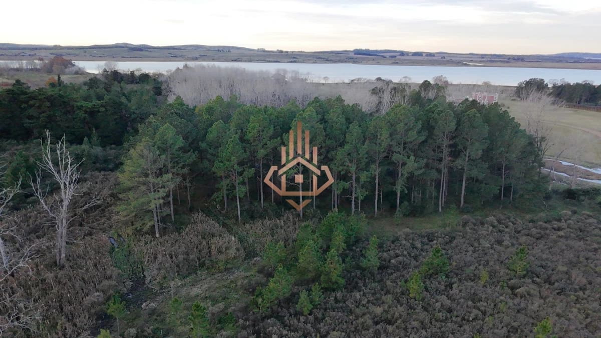 Chacra en venta sobre la Laguna - 17 ha con 200 m de costa, USD 5 por m2