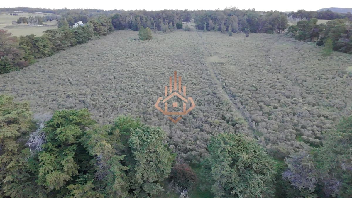 Chacra en venta sobre la Laguna - 17 ha con 200 m de costa, USD 5 por m2