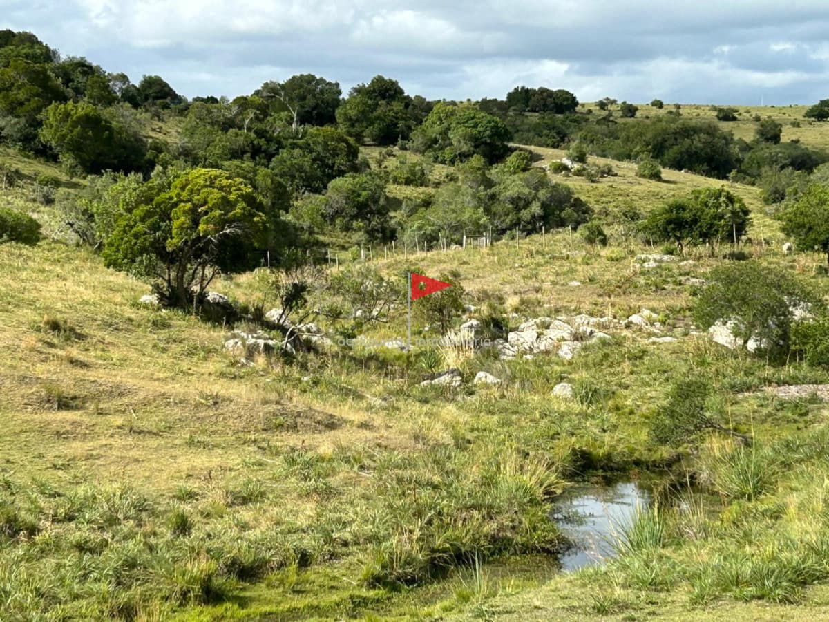 Chacra ID.279 - Venta hermosa Chacra Minas con casa y galpón
