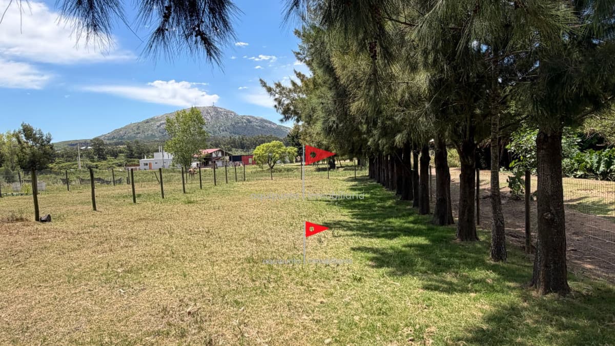 Terreno ID.131 - Terreno Piriápolis Pueblo Obrero (4)