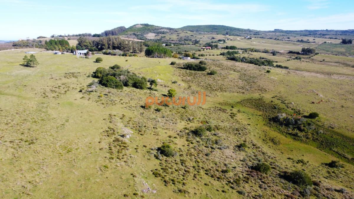 Venta de Chacras con 3 hectáreas en Pueblo Edén
