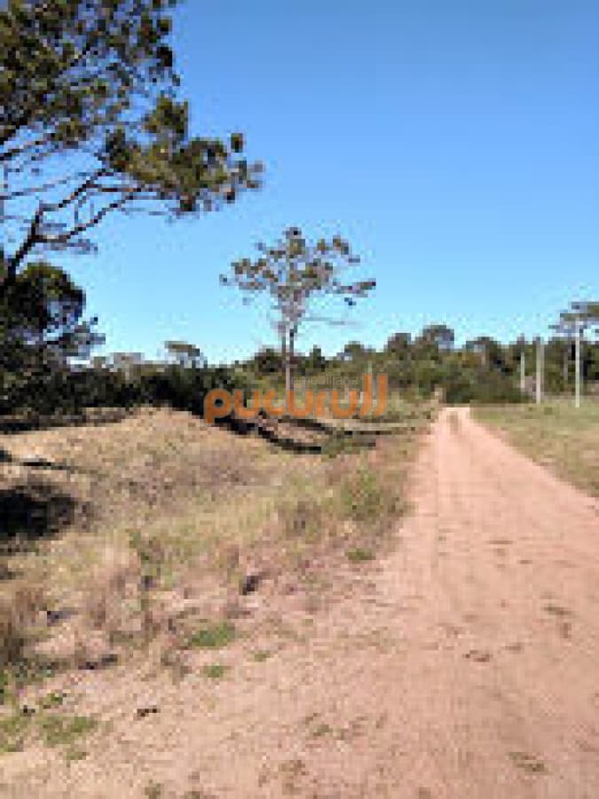 SE VENDE TERRENO EN LA VIUDA PUNTA DEL DIABLO