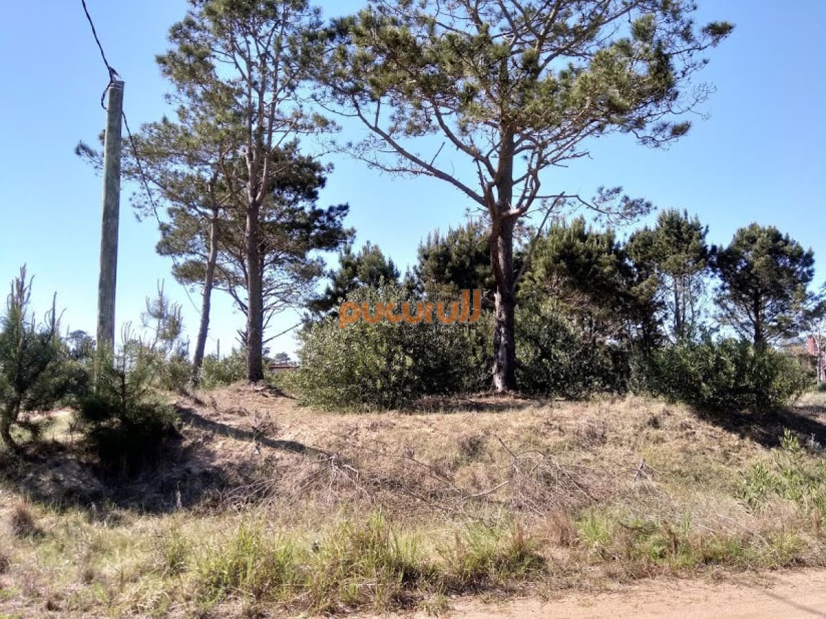 SE VENDE TERRENO EN LA VIUDA PUNTA DEL DIABLO