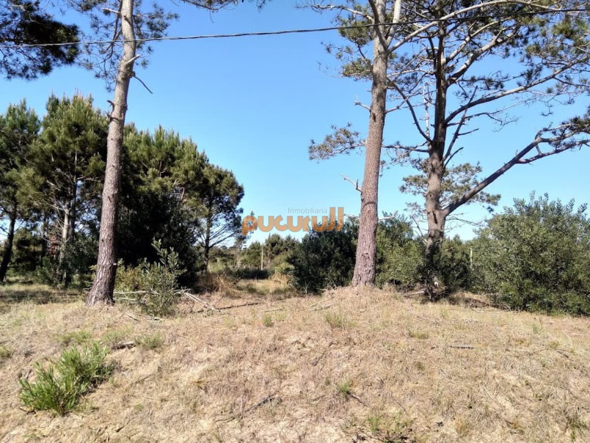 SE VENDE TERRENO EN LA VIUDA PUNTA DEL DIABLO