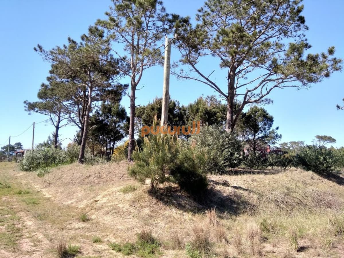 SE VENDE TERRENO EN LA VIUDA PUNTA DEL DIABLO