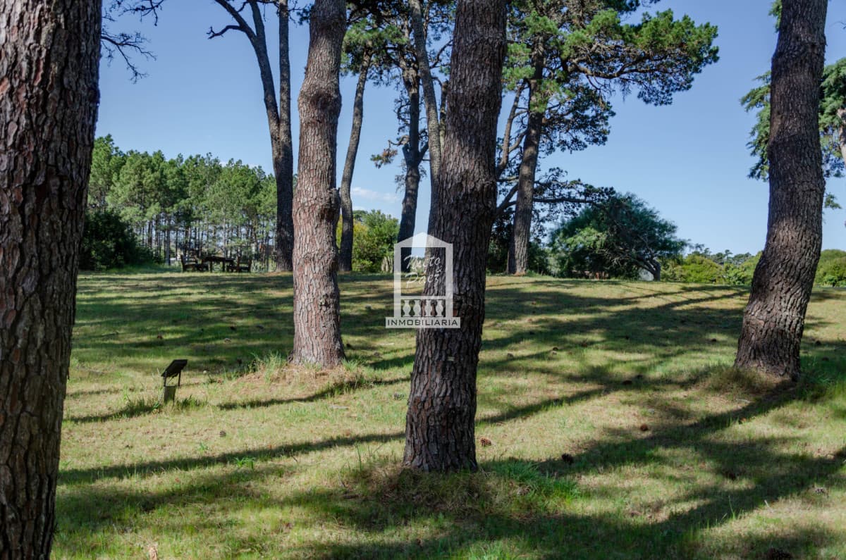 Residencias Veramansa - Lote 03