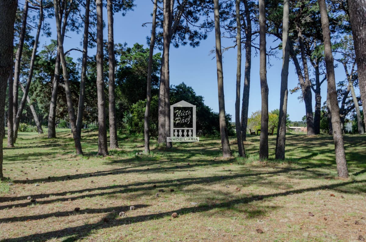 Residencias Veramansa - Lote 04