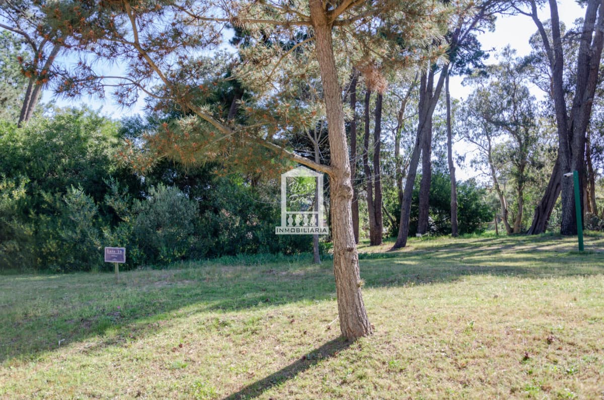 Residencias Veramansa - Lote 16