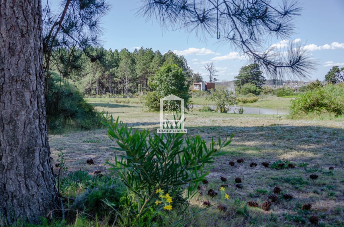 Residencias Veramansa - Lote 01