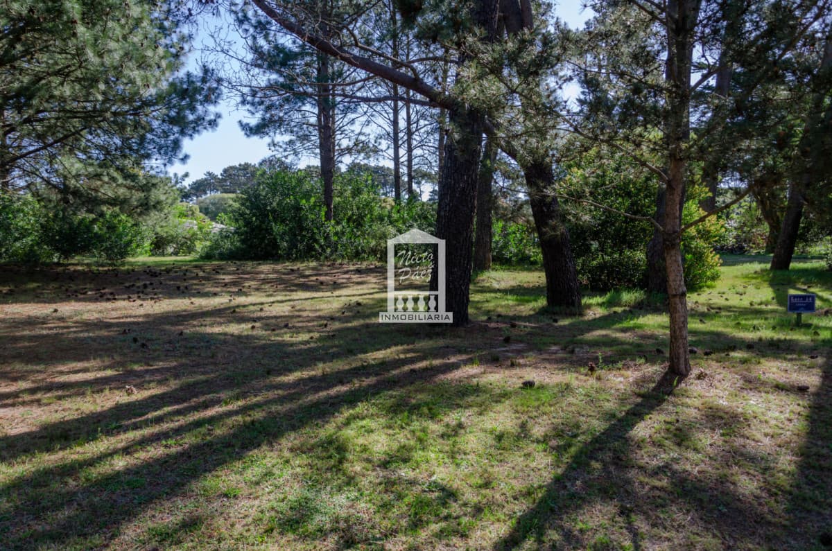 Residencias Veramansa - Lote 15
