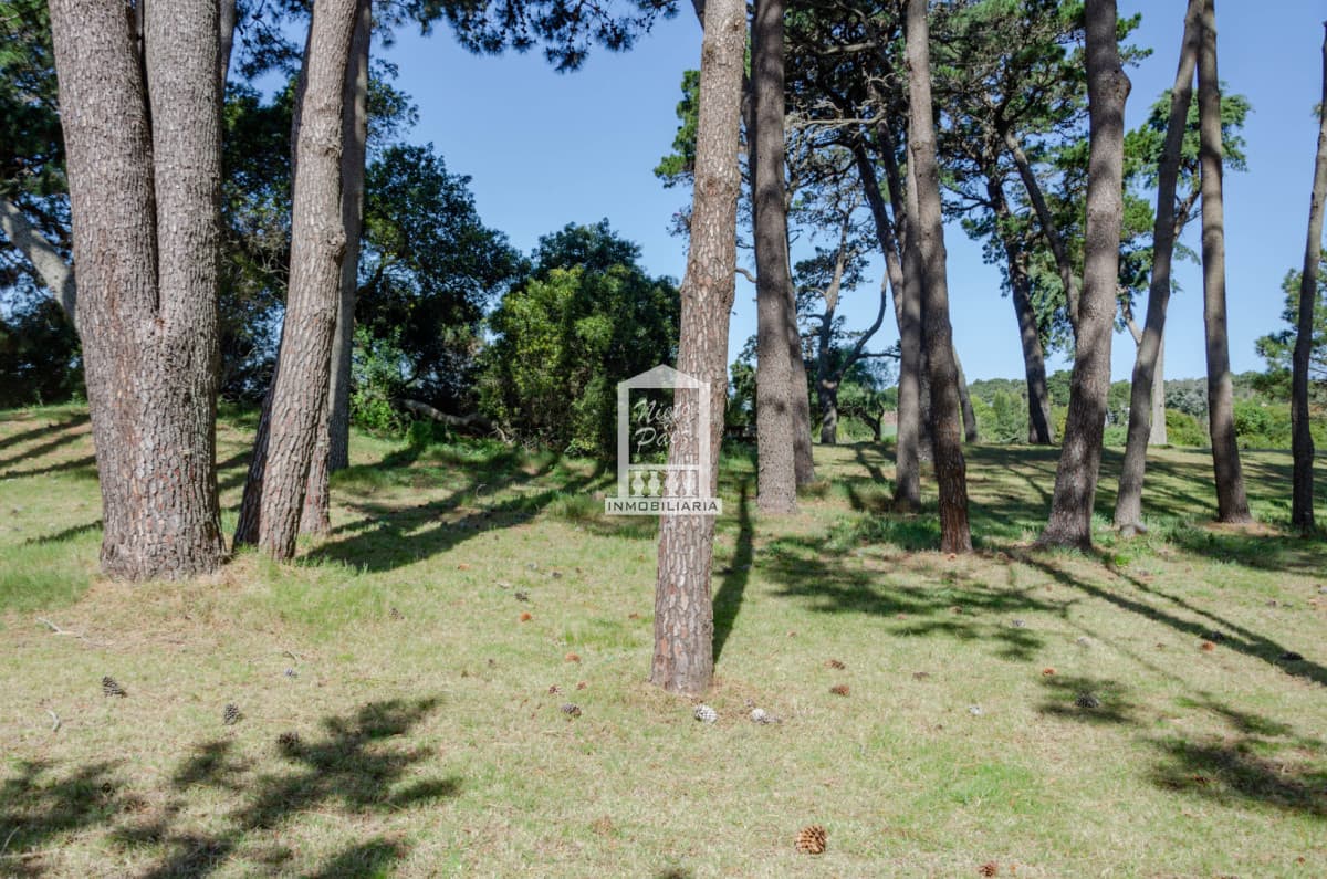 Residencias Veramansa - Lote 04