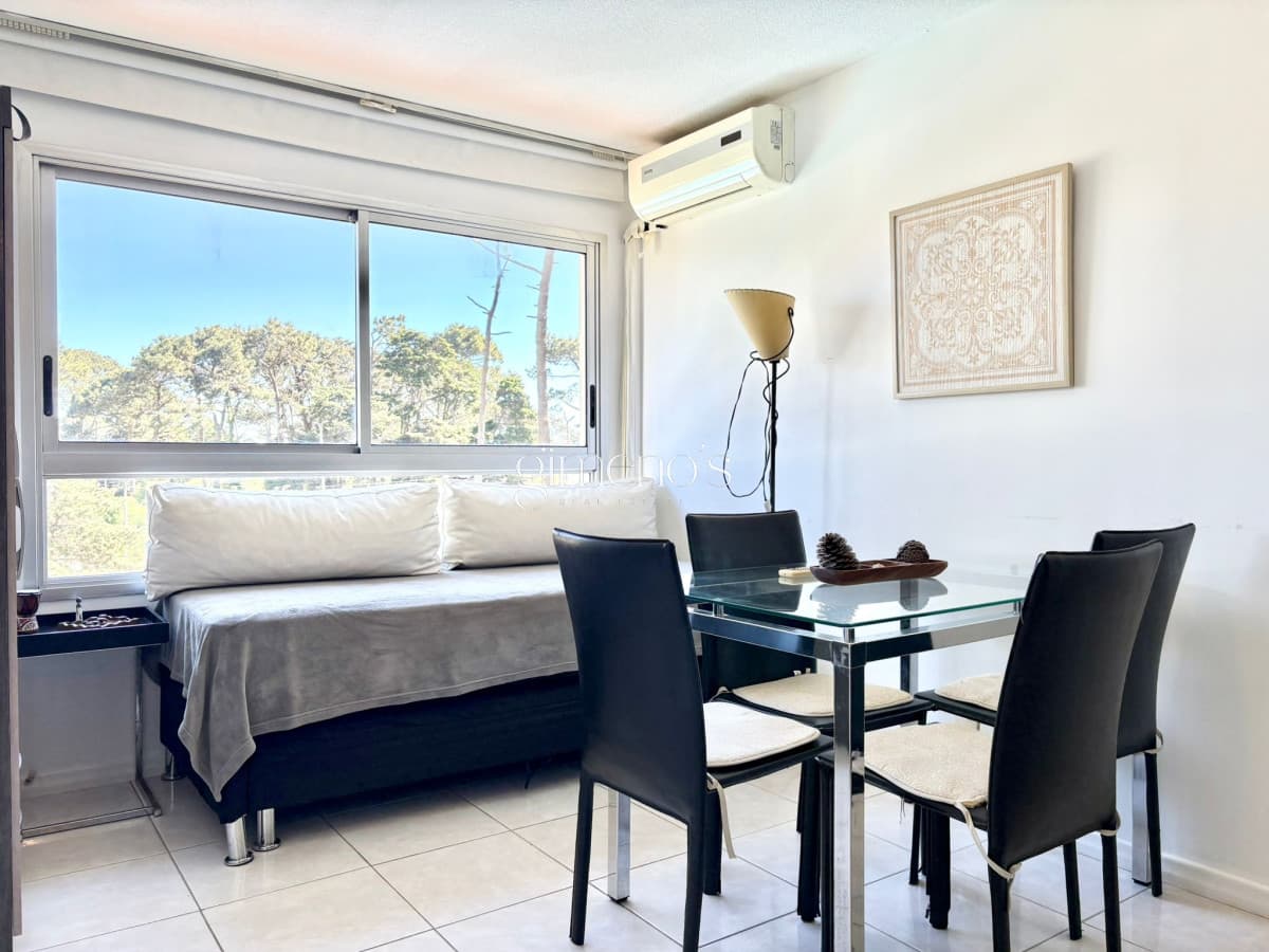 Apartamento 1 Dormitorios - Punta del Este