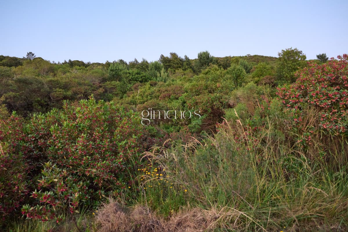 Agreste Punta Negra - Exclusivo Club de Campo y Mar | Lotes Premium
