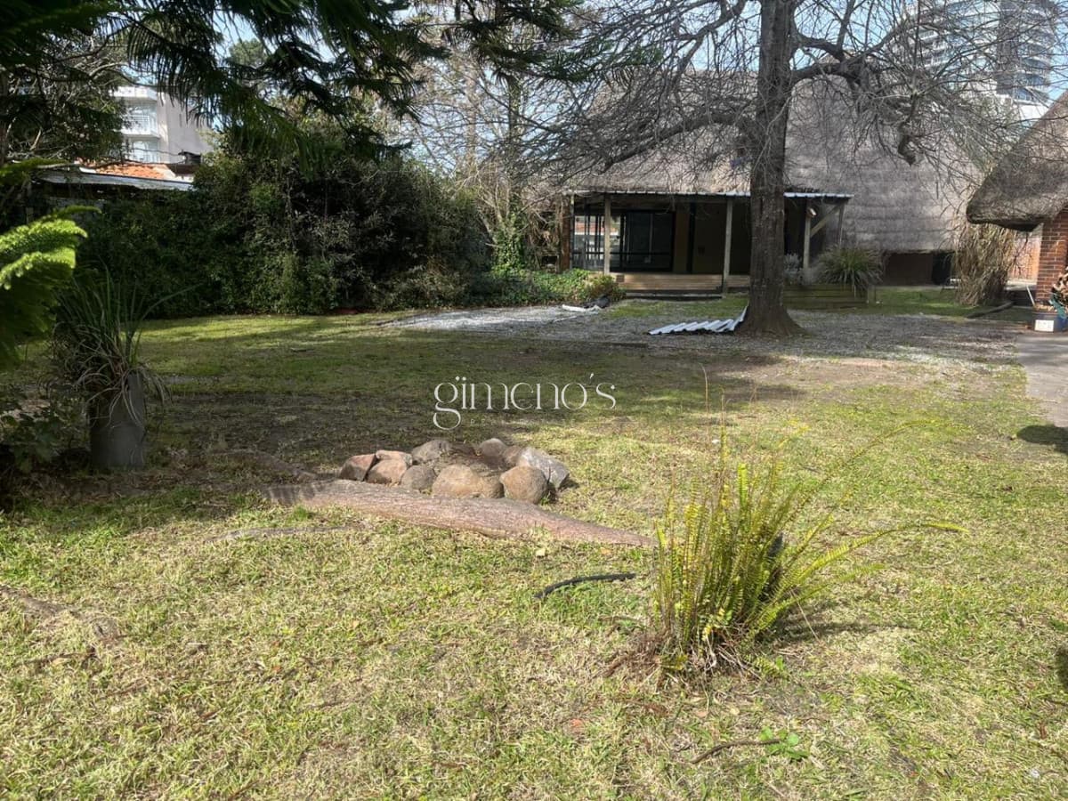 Venta de Local en Pedragosa Sierra - Punta del Este - Ubicado en Pedragosa Sierra