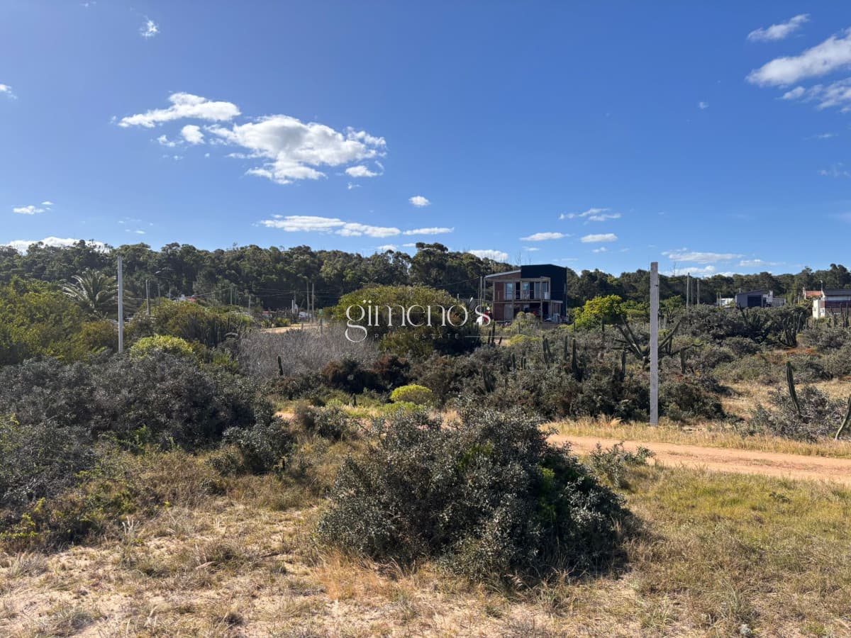 Terreno en Venta en - Sauce de Portezuelo - Punta del Este