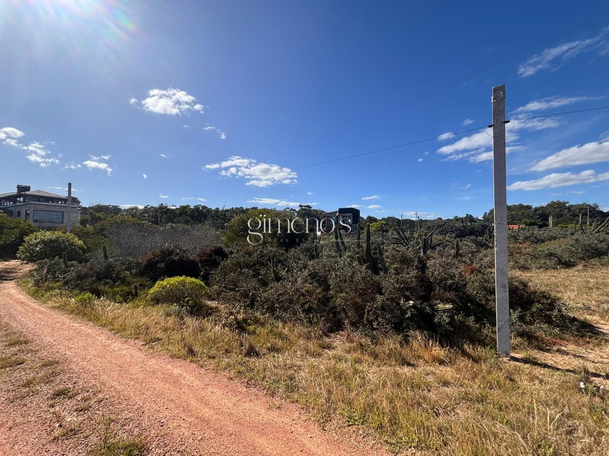 Terreno en Venta en - Sauce de Portezuelo - Punta del Este