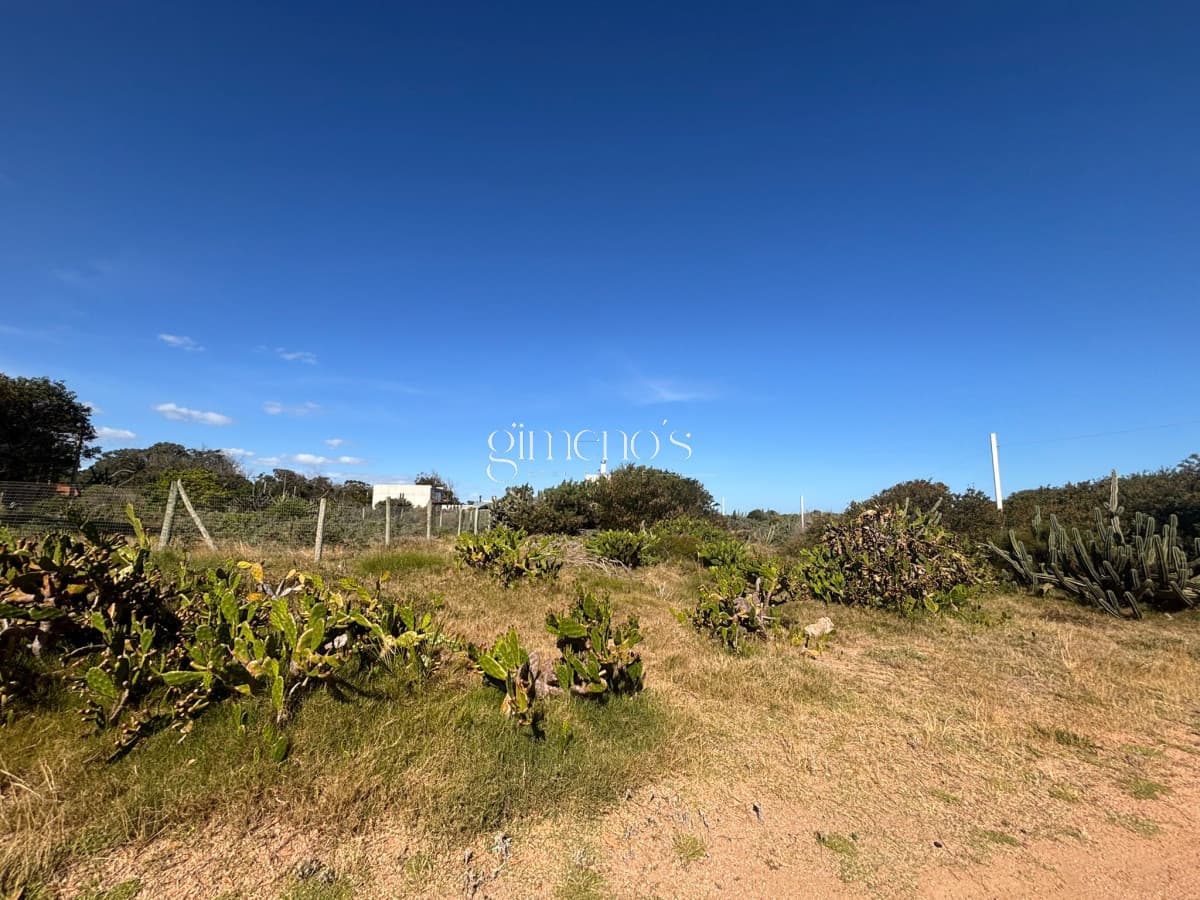 Terreno en Venta en - Sauce de Portezuelo - Punta del Este