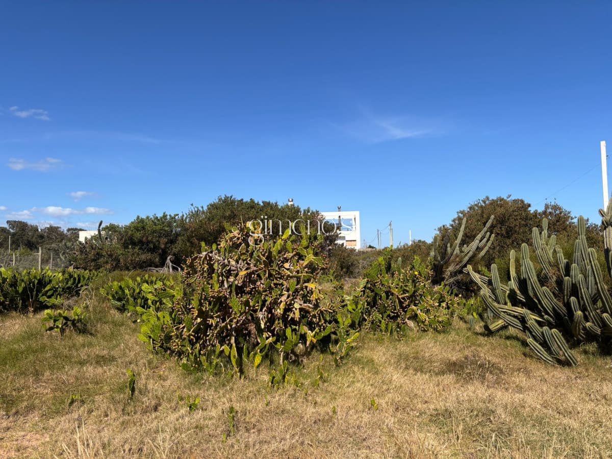 Terreno en Venta en - Sauce de Portezuelo - Punta del Este