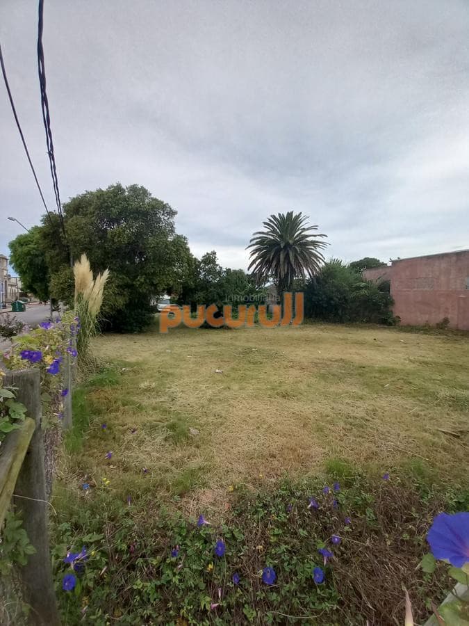 terreno esquinero en maldonado