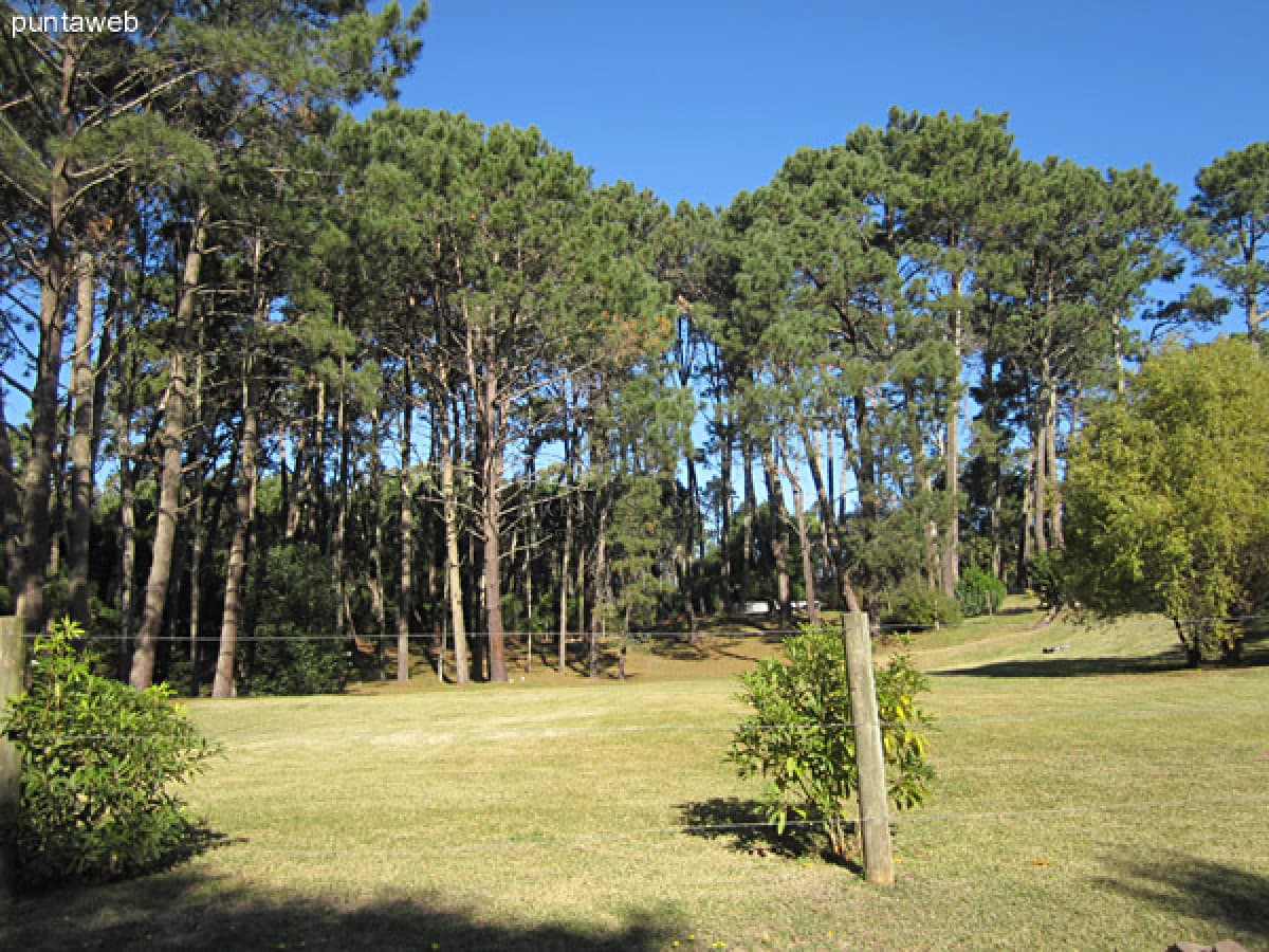 Terreno ID.703 - Terreno a la venta en Pinares I Punta del Este