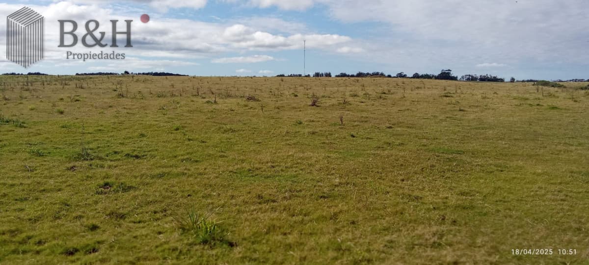 Oportunidad de campo en Garzon