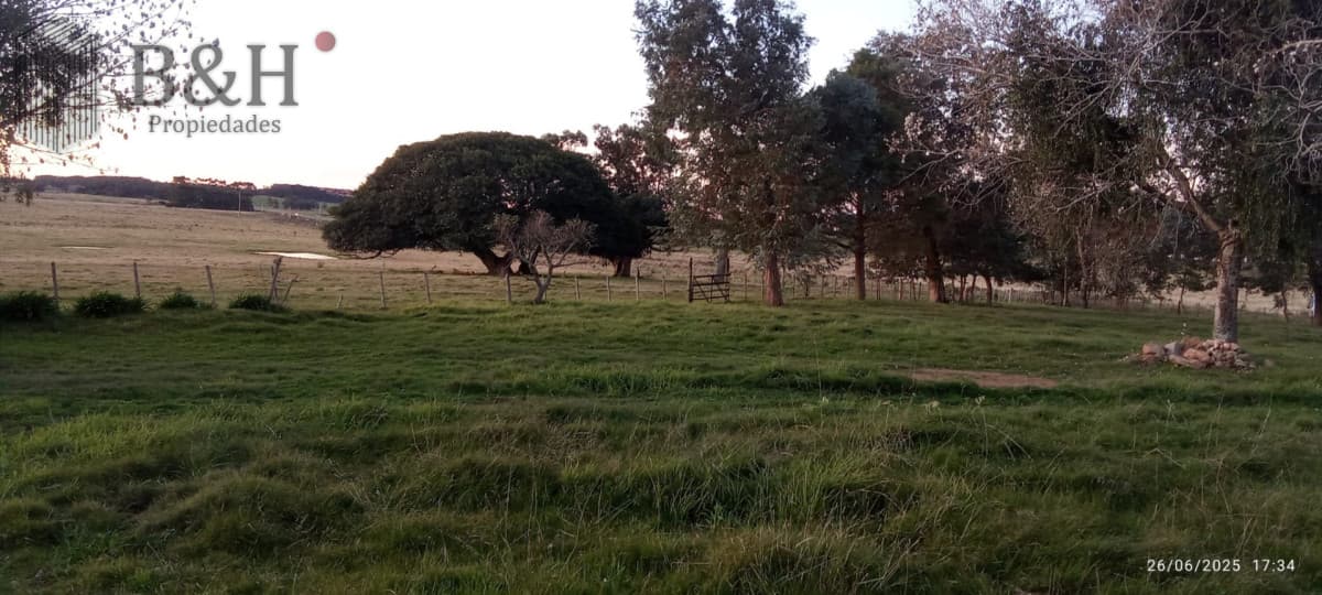 Oportunidad de campo en Garzon