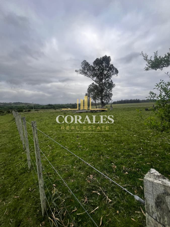 Campo 110 hectáreas en Aiguá