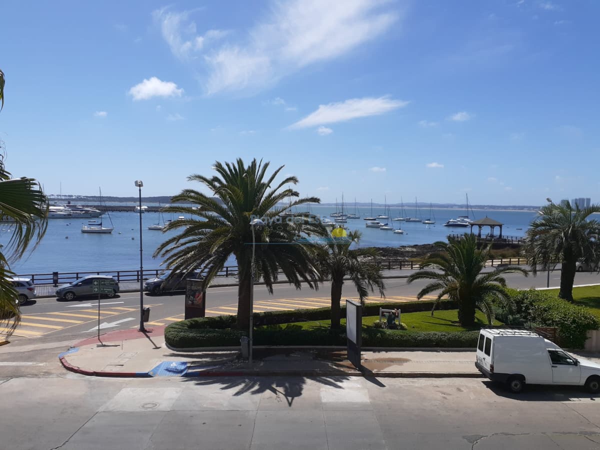 Península, puerto  - Inmobiliaria Playa del Este