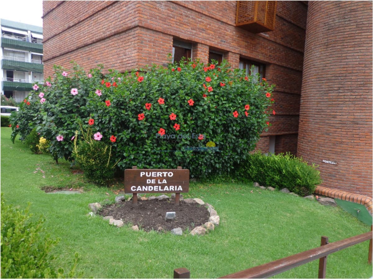 Apartamento de 1 dormitorio en alquiler temporal en Punta del este  - Inmobiliaria Playa del Este