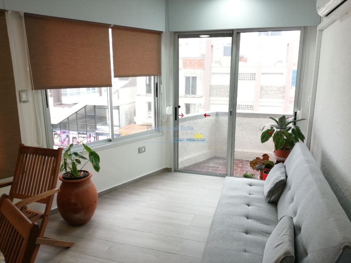 Península, 2 dormitorios. - Inmobiliaria Playa del Este
