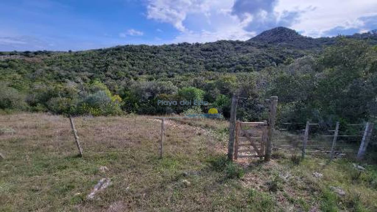 Chacra paradisiaca  - Inmobiliaria Playa del Este