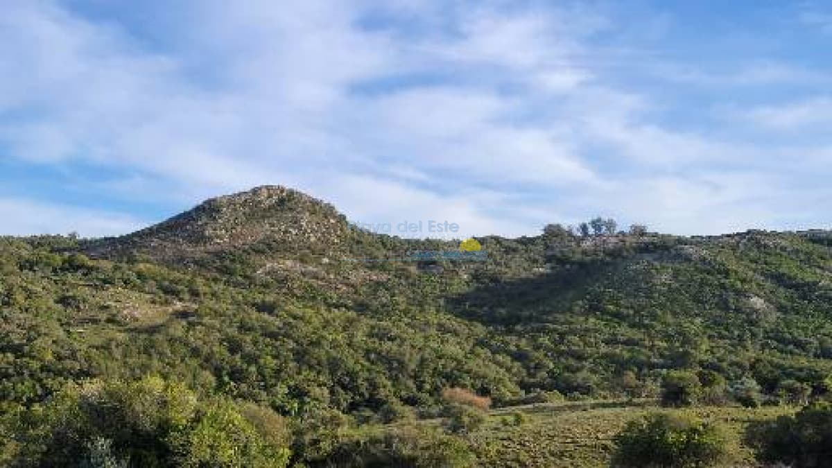 Chacra paradisiaca  - Inmobiliaria Playa del Este