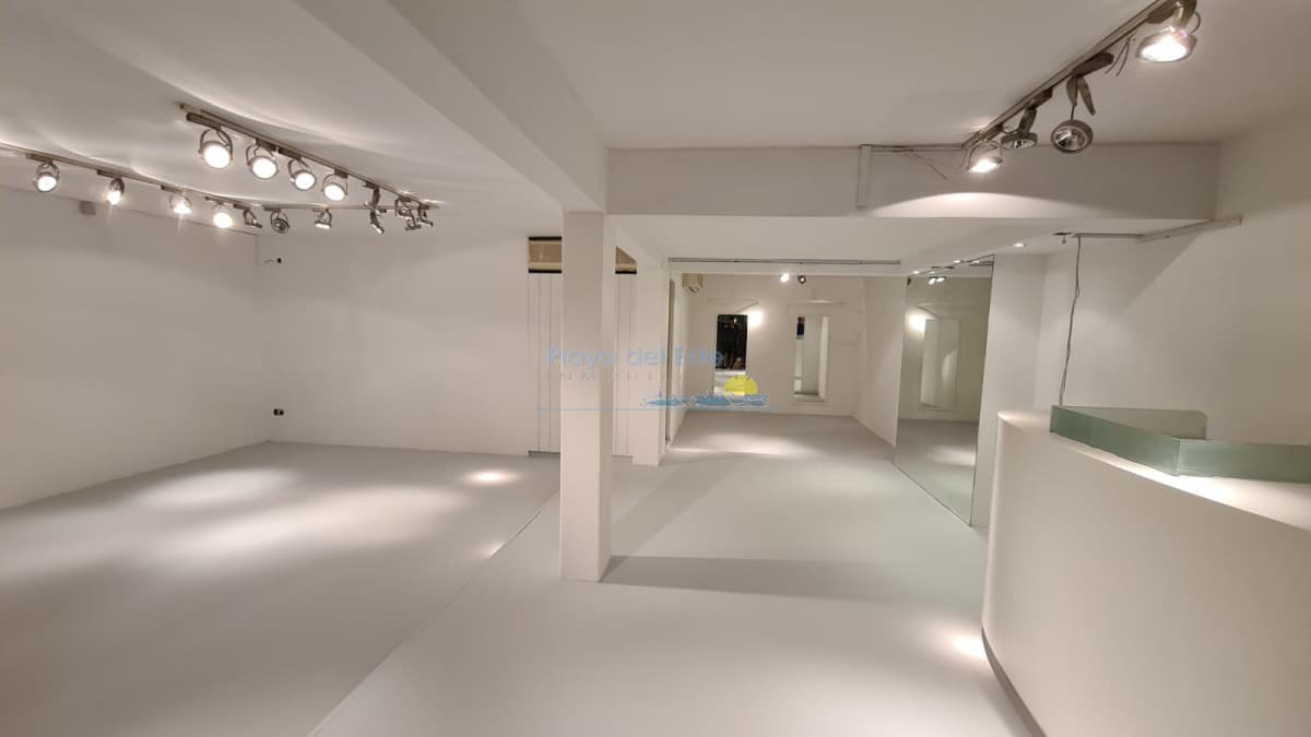 Sobre calle 20 en plena Península - Inmobiliaria Playa del Este