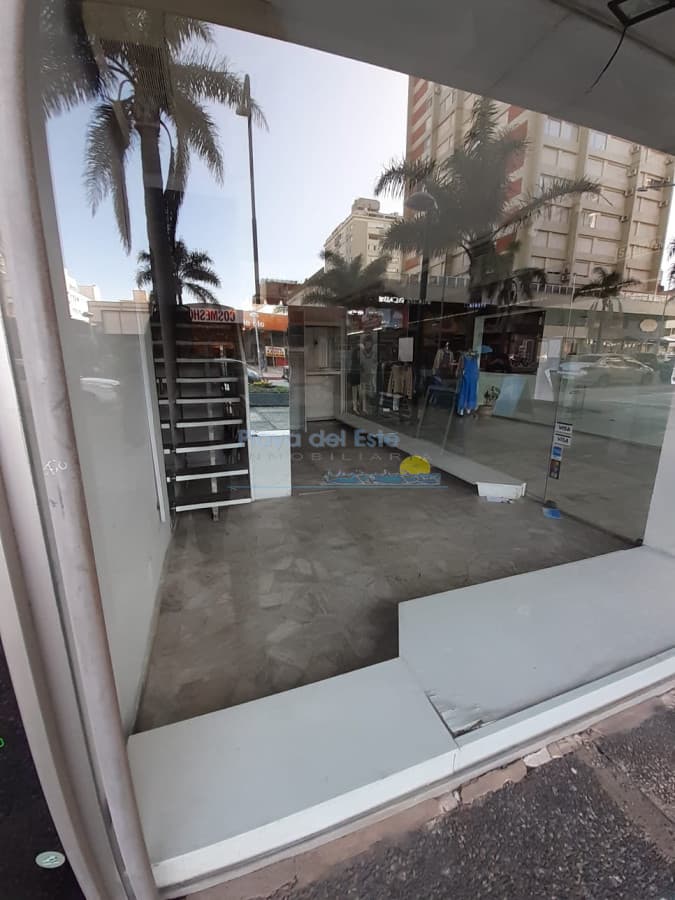 Sobre Av. Gorlero - Inmobiliaria Playa del Este